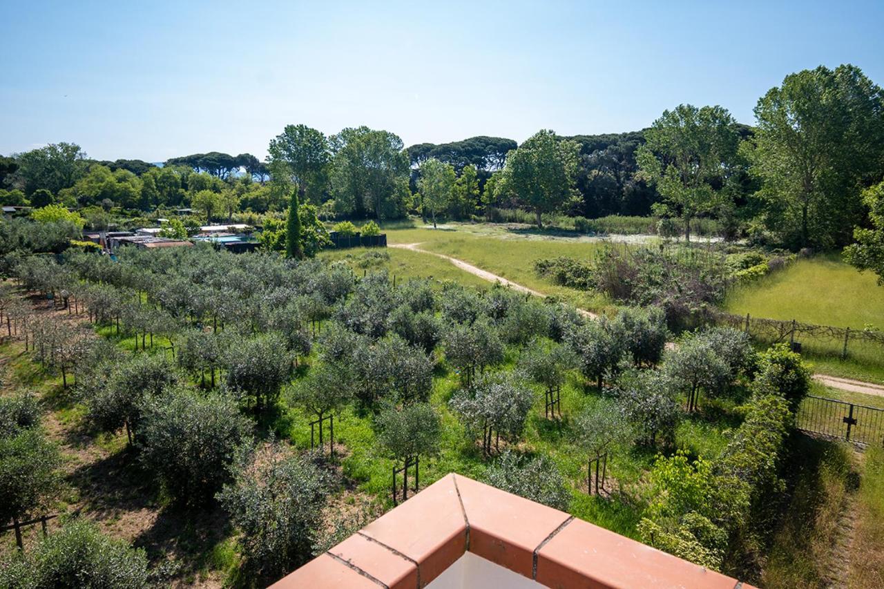 Attico Di Torsten Daire Torre del Lago Puccini Dış mekan fotoğraf